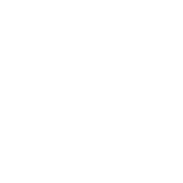 Rapid Response Times logo